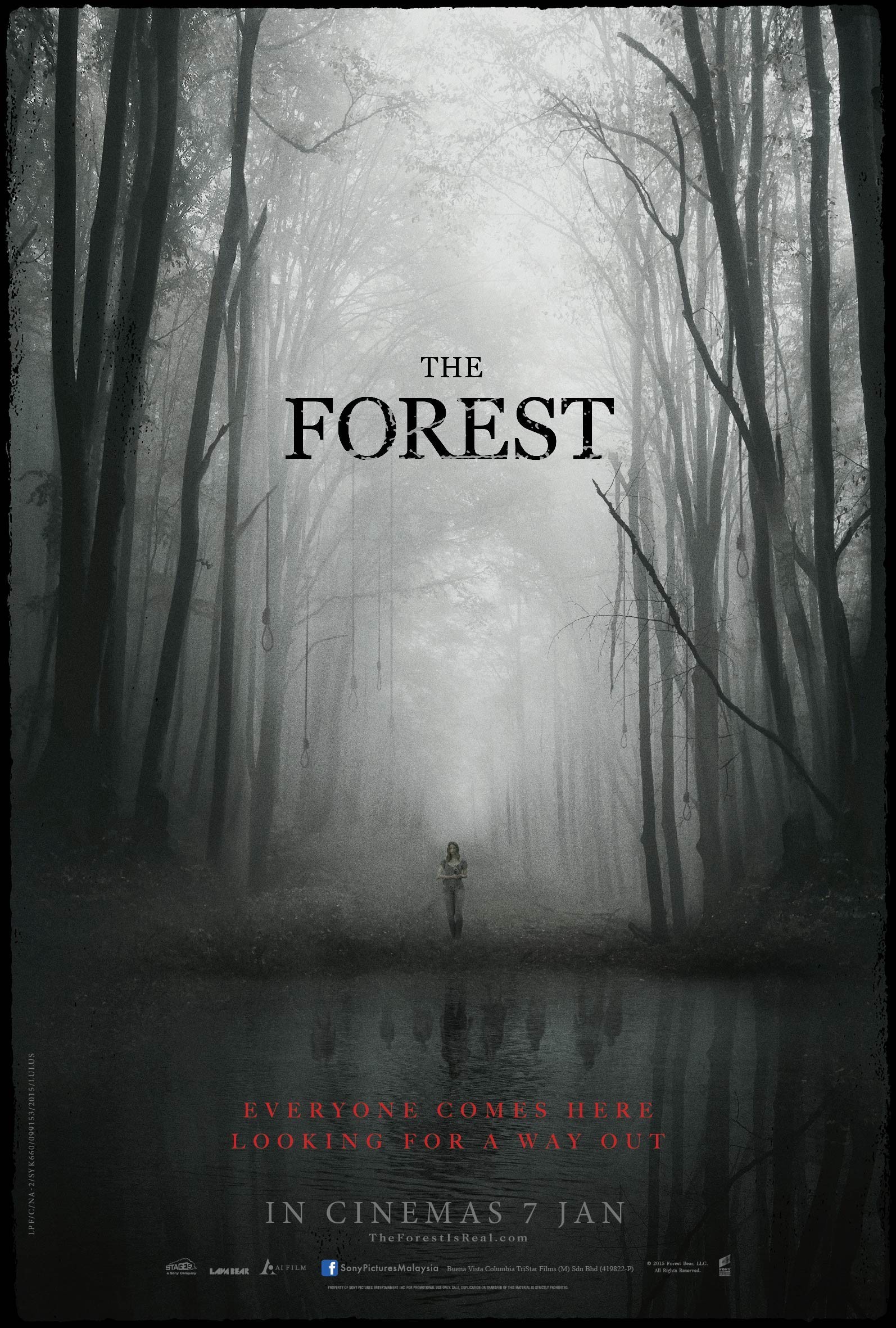 The Forest – Orman  2016  Türkçe Altyazı