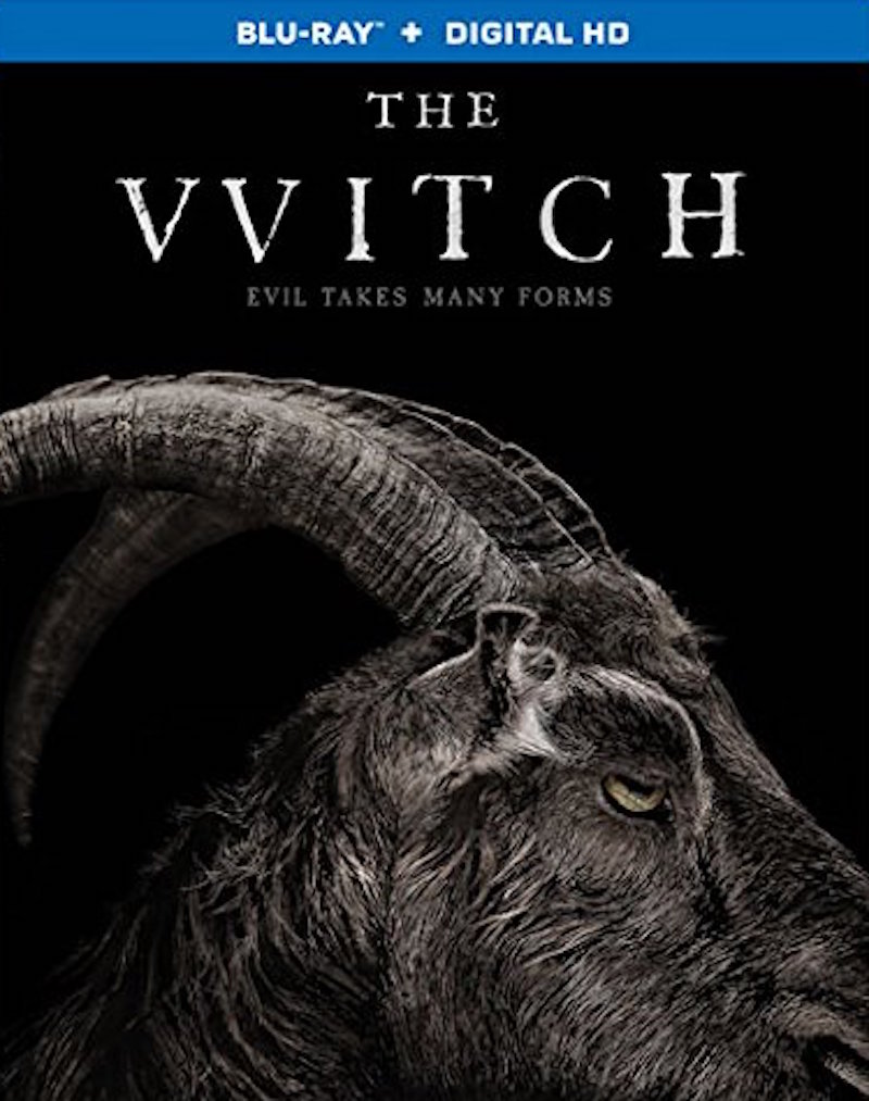 Cadı – The Witch 2015 m1080p DuaL izle-indir