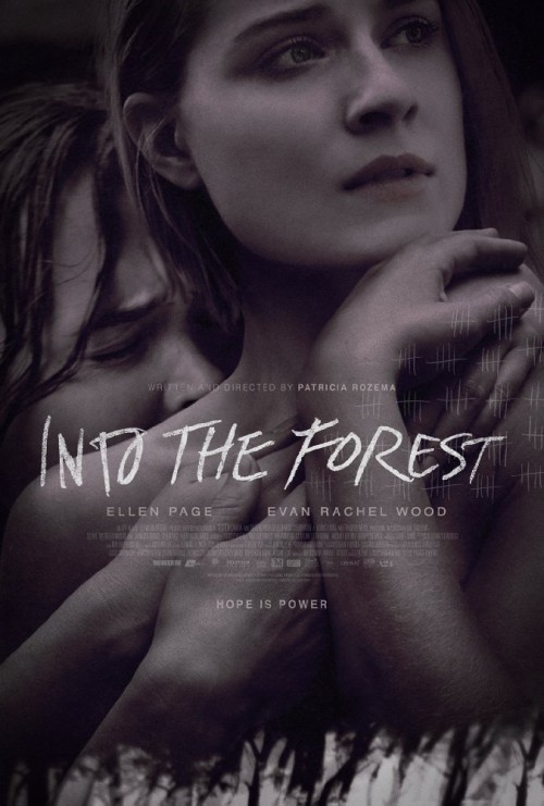 Ormana Doğru – Into the Forest 2015 Türkçe Altyazı izle-indir