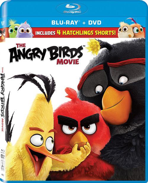 Angry Birds 2016 m1080p Türkçe Dublaj izle-indir