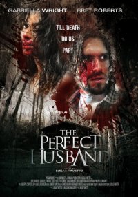 Yalanlar İçinde – The Perfect Husband 2014 BRRip Türkçe Dublaj