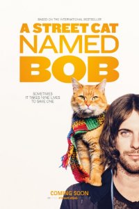 Sokak Kedisi Bob-A Street Cat Named Bob 2016 BRRip Türkçe Dublaj