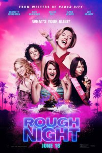 Kızlar Gecesi – Rough Night 2017 BRRip  Türkçe Dublaj