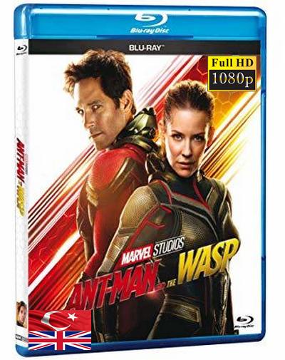Ant-Man ve Wasp 2018 1080p TR İzle-İndir